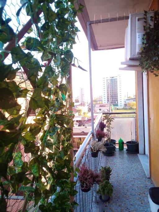 C&C - Cozy And Cute Apartment Milano Ngoại thất bức ảnh