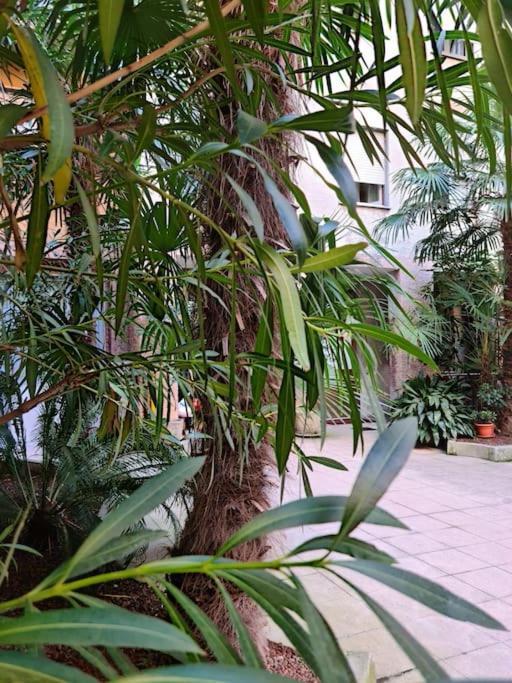C&C - Cozy And Cute Apartment Milano Ngoại thất bức ảnh